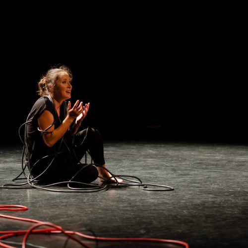 Guillaume Médard_2021_Compagnie Al'Fonce_Le Pôle Alby_18062021-76