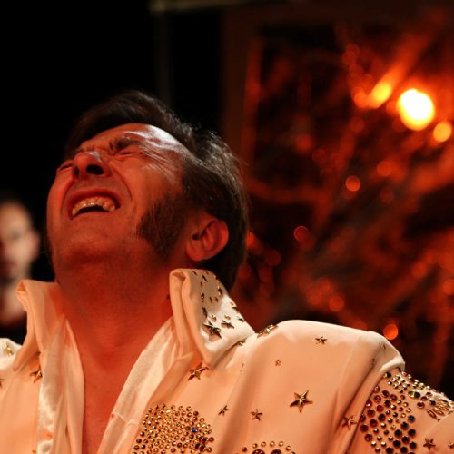 Le sourire d'elvis compagnie Alfonce (6)
